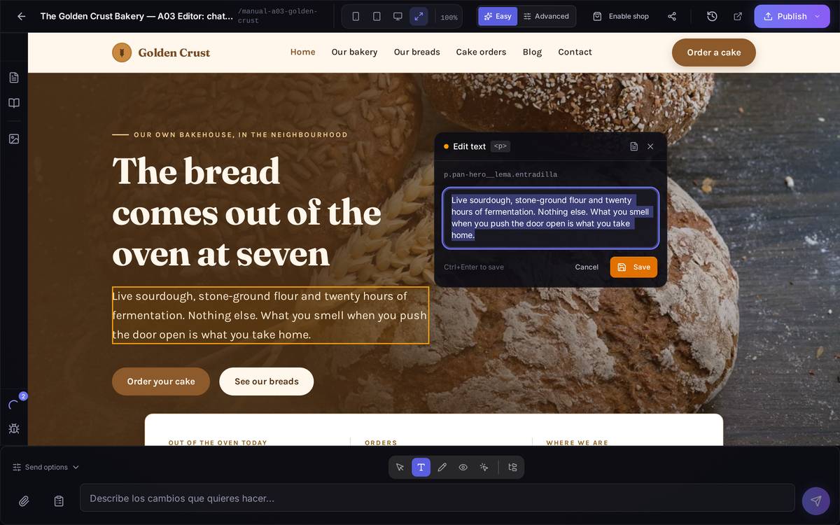 The text panel over a paragraph on the home page. You type over it and press Save; it never goes through the AI.