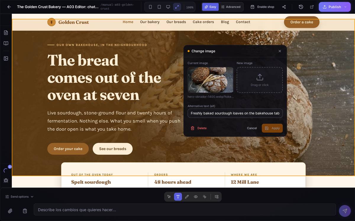 The image panel: on the left the current one, on the right the space to upload another, and the alternative text below.