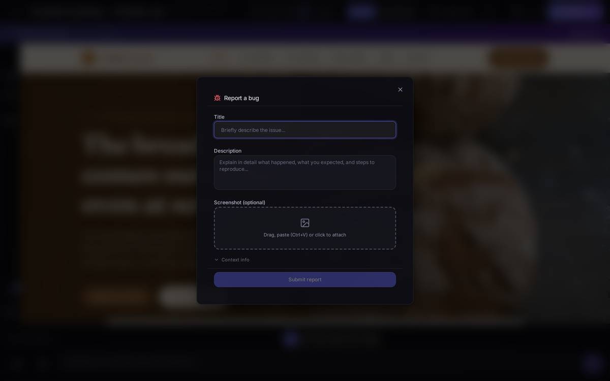 The bug report form, with the space for attaching a screenshot.