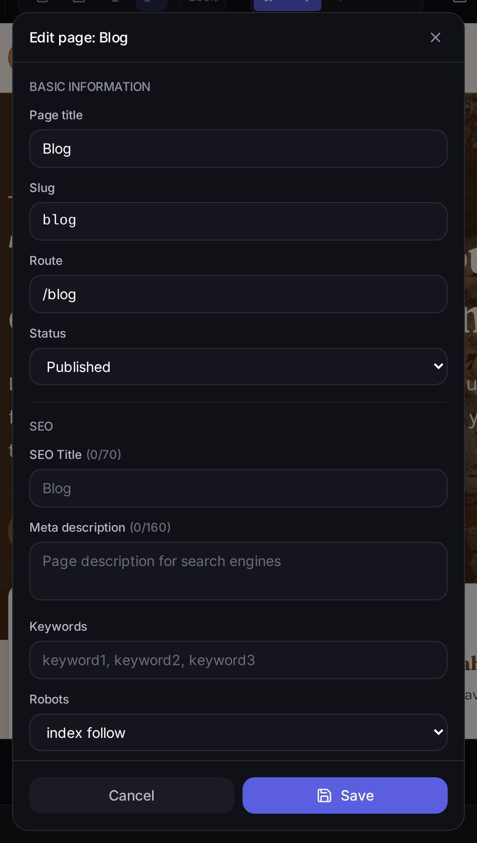 The details of the "Blog" page: title, slug, route and status at the top; SEO Title, meta description, keywords and the `robots` directive (which tells search engines whether to index the page and follow its links) underneath.