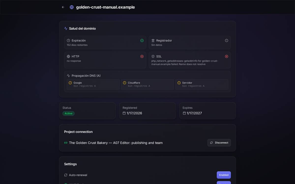 A domain's full page, top to bottom: health, status, connected project, settings, EPP code, registrant, renewal, DNS, forwarding, subdomains and transfer.