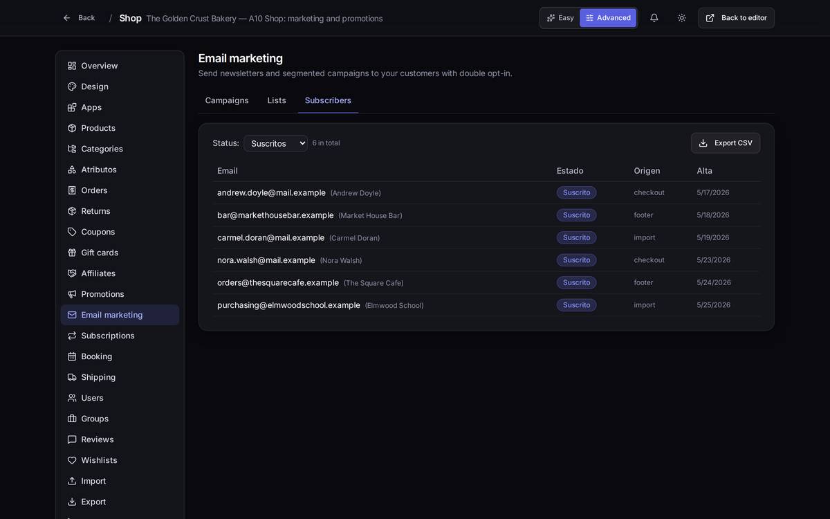 The **Subscribers** tab, with each person's status, where they came from (at checkout, from the site footer, imported) and how long they've been there. It can be exported to CSV.