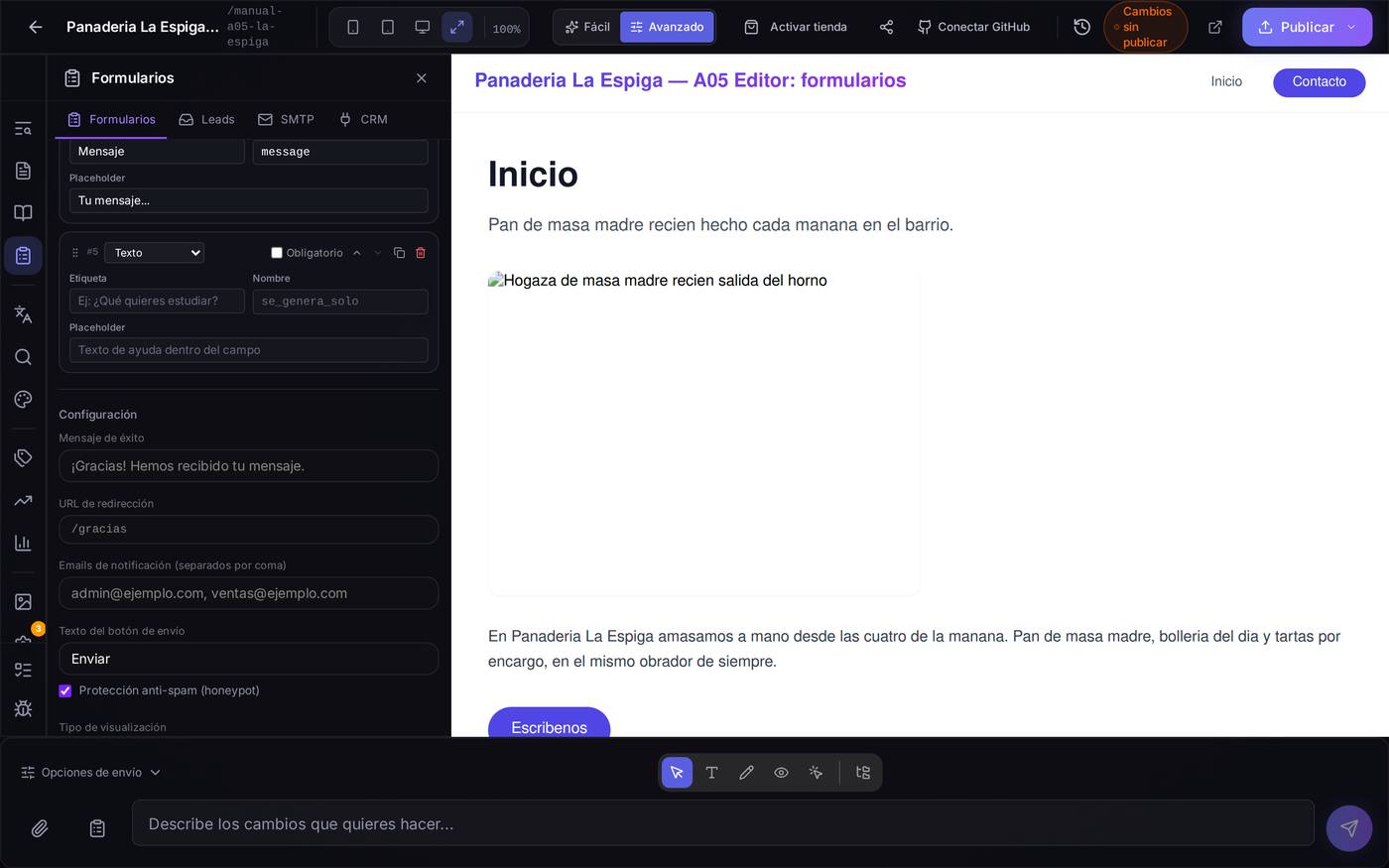 Los ajustes de un formulario: el mensaje de gracias, la página de redirección, los correos que reciben el aviso y la protección anti-spam.