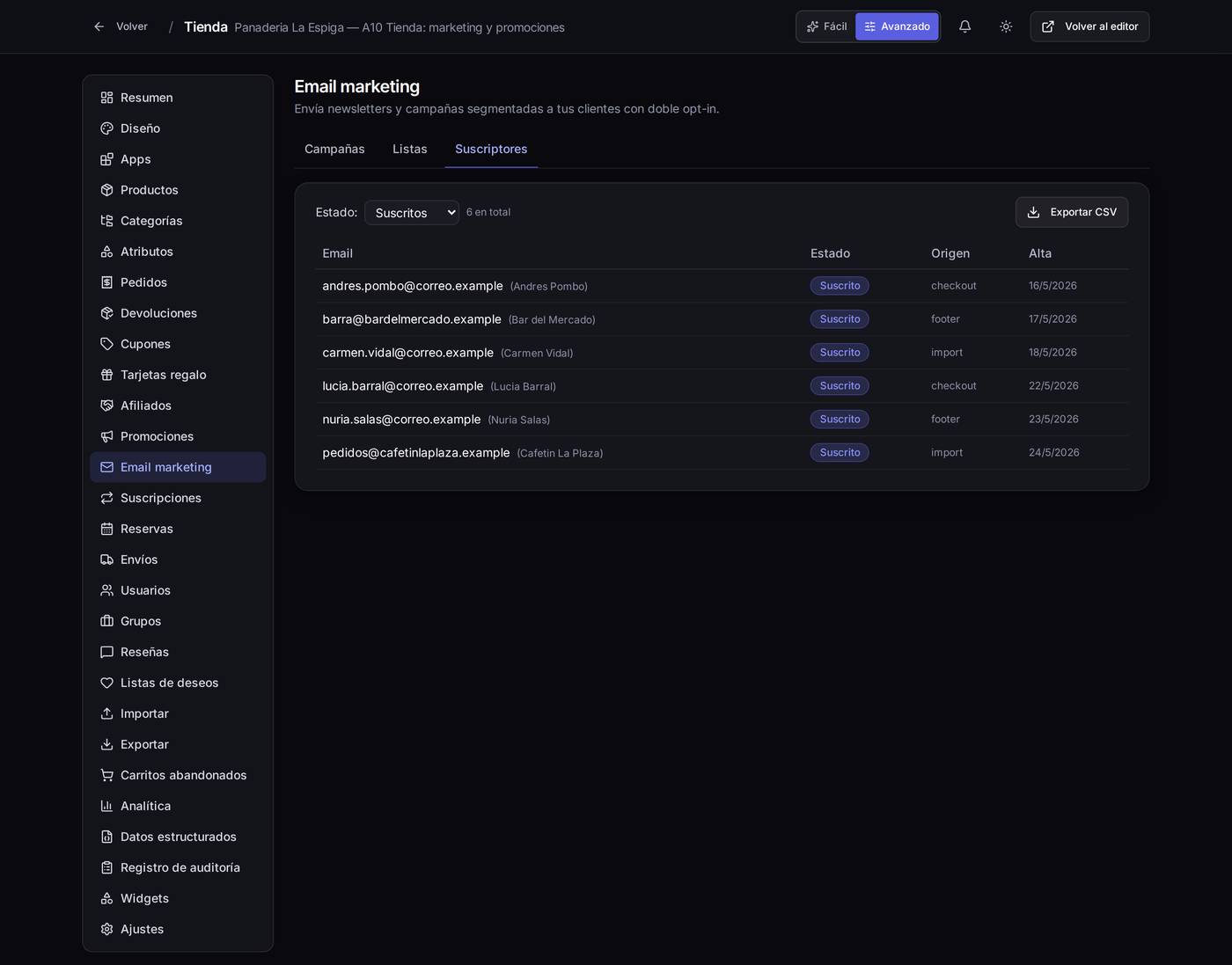 Pestaña **Suscriptores**, con el estado de cada uno, de dónde salió (al comprar, del pie de la web, importado) y desde cuándo está. Se puede exportar a CSV.